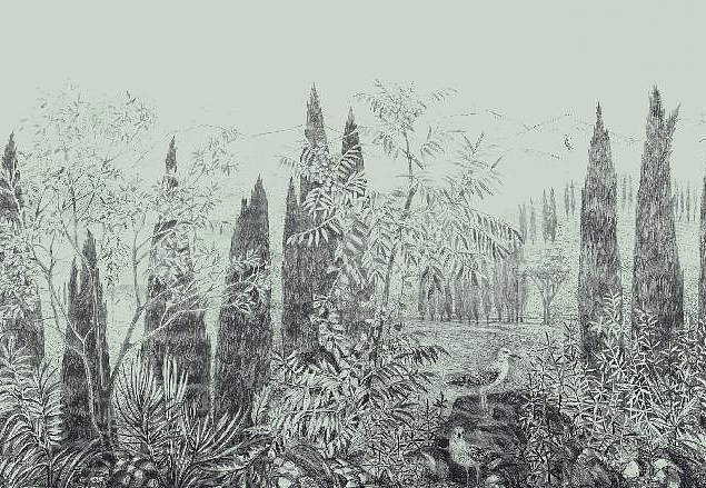 Панно и фотообои Affresco Dream Forest DG68 COL2