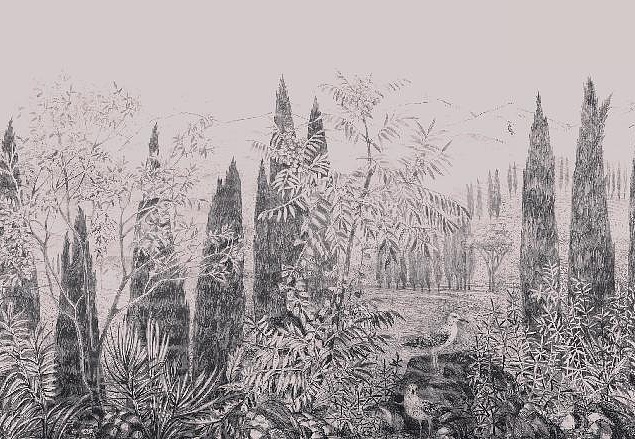 Панно и фотообои Affresco Dream Forest DG68 COL3