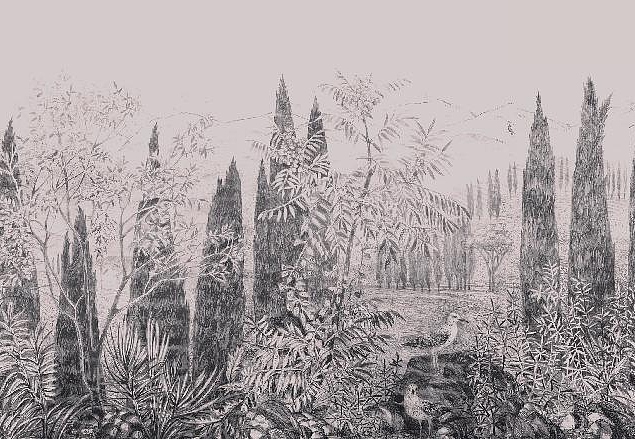 Панно и фотообои Affresco Dream Forest DG68 COL3