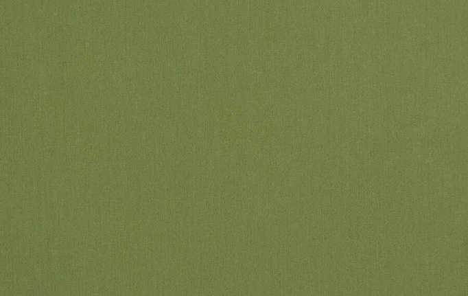 Американская ткань Fabricut, коллекция Cotton Sateen Savvy, артикул Savvy/Grass