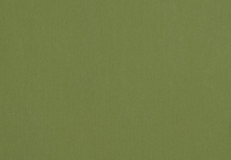 Ткань Fabricut Cotton Sateen Savvy Savvy/Grass