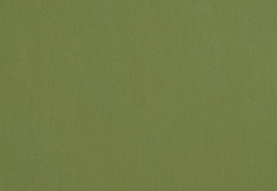 Ткань Fabricut Cotton Sateen Savvy Savvy/Grass