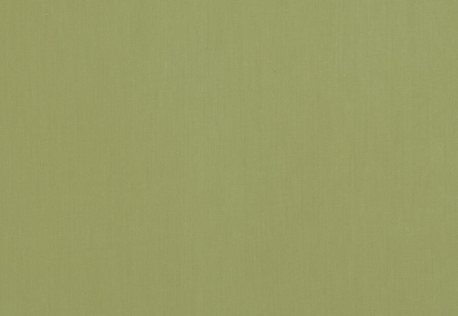 Ткань Fabricut Cotton Sateen Savvy Savvy/Celery