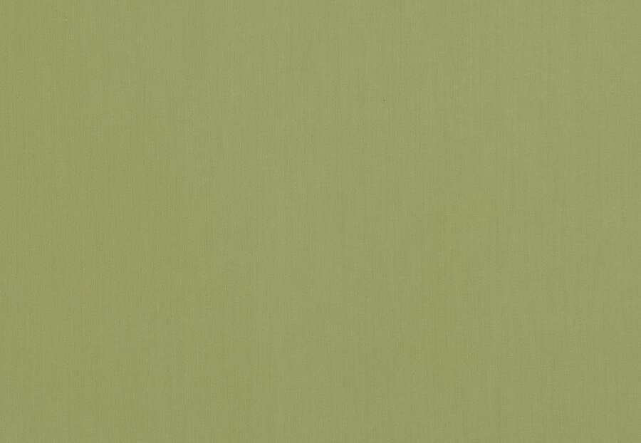 Ткань Fabricut Cotton Sateen Savvy Savvy/Celery