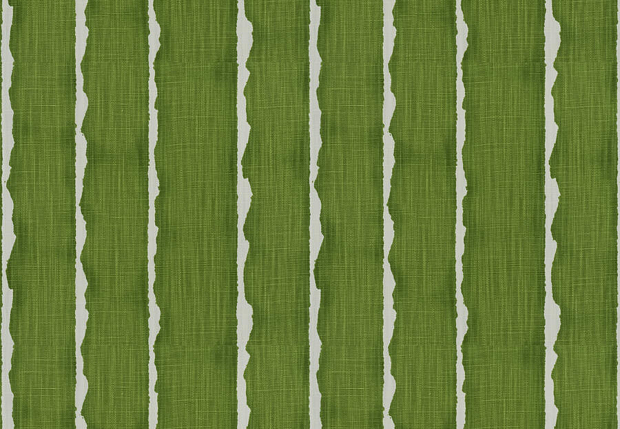 Ткань Fabricut Artfully Modern Pottery VellumStripe/Kelly