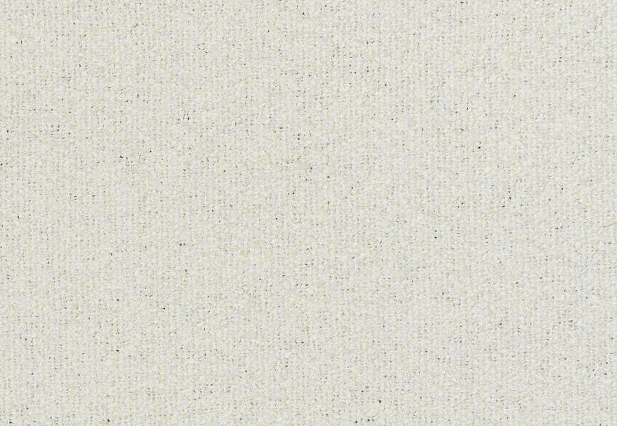 Ткань Fabricut Artfully Modern Canvas ModernBoucle/Snow
