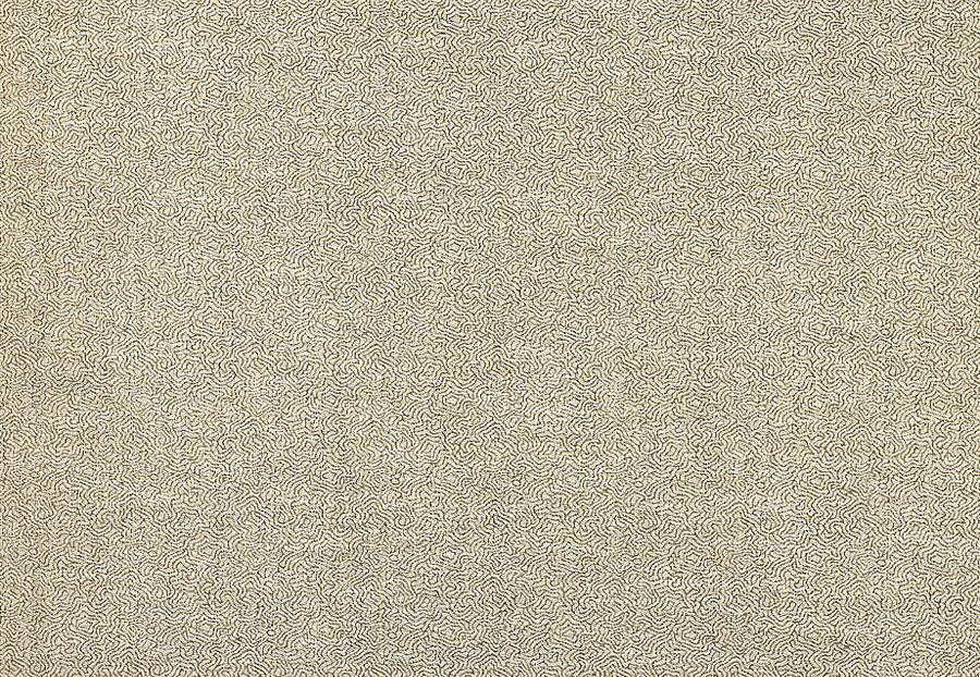 Ткань Designers Guild Palladio FDG2893/03