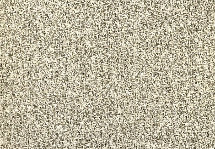 Ткань Designers Guild Palladio FDG2893/03