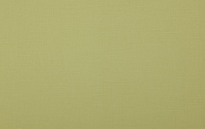 Бельгийская ткань Daylight, коллекция Canvas, артикул Bonfire/Linden