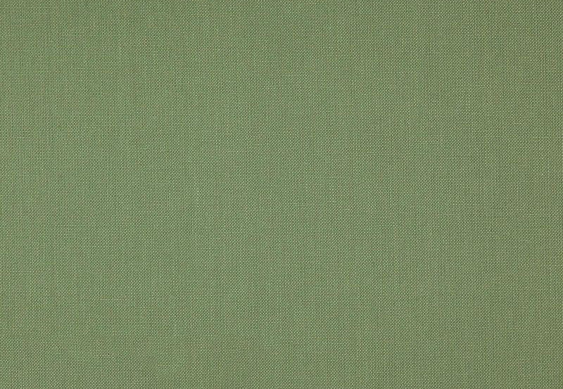 Ткань Daylight Canvas Canvas/Basil