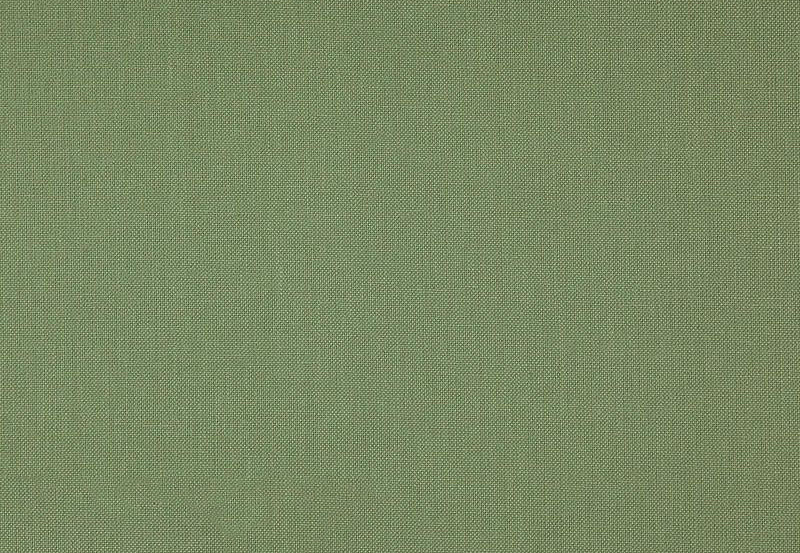 Ткань Daylight Canvas Canvas/Basil