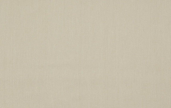 Бельгийская ткань Daylight, коллекция Canvas, артикул Canvas/Ecru