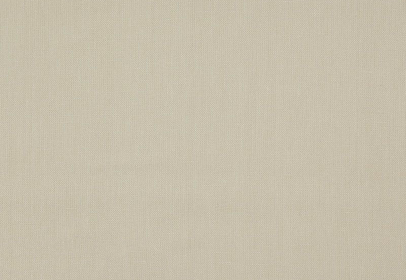 Ткань Daylight Canvas Canvas/Ecru