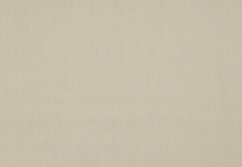 Ткань Daylight Canvas Canvas/Ecru