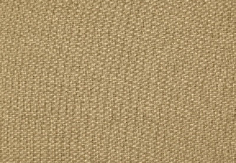Ткань Daylight Canvas Canvas/Honey