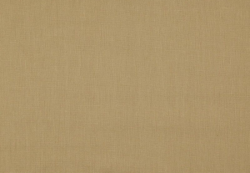 Ткань Daylight Canvas Canvas/Honey