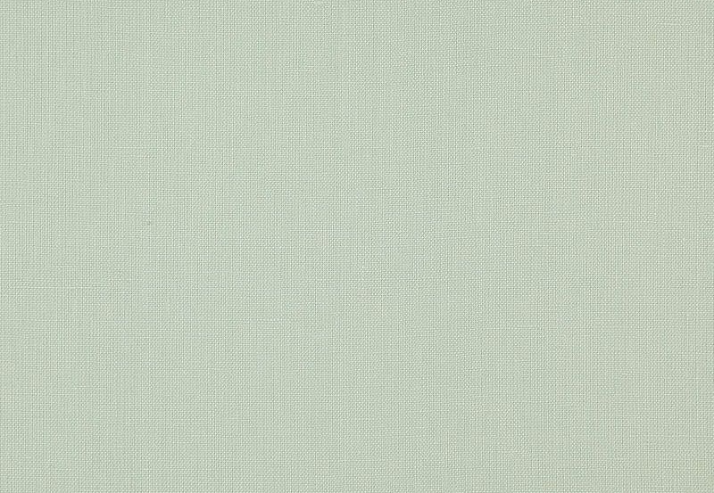 Ткань Daylight Canvas Canvas/Lichen