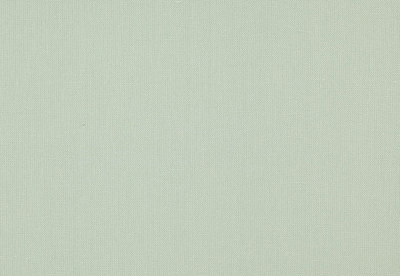 Ткань Daylight Canvas Canvas/Lichen