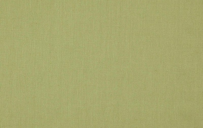 Бельгийская ткань Daylight, коллекция Canvas, артикул Canvas/Lizard