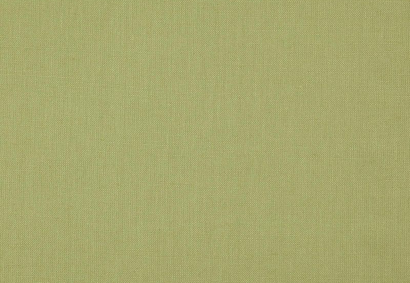 Ткань Daylight Canvas Canvas/Lizard