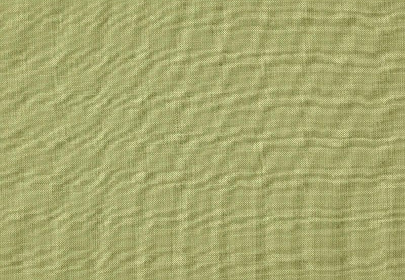 Ткань Daylight Canvas Canvas/Lizard