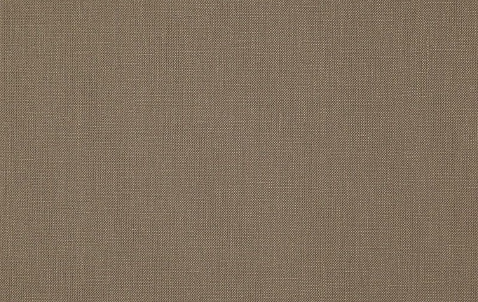 Бельгийская ткань Daylight, коллекция Canvas, артикул Canvas/Mushroom