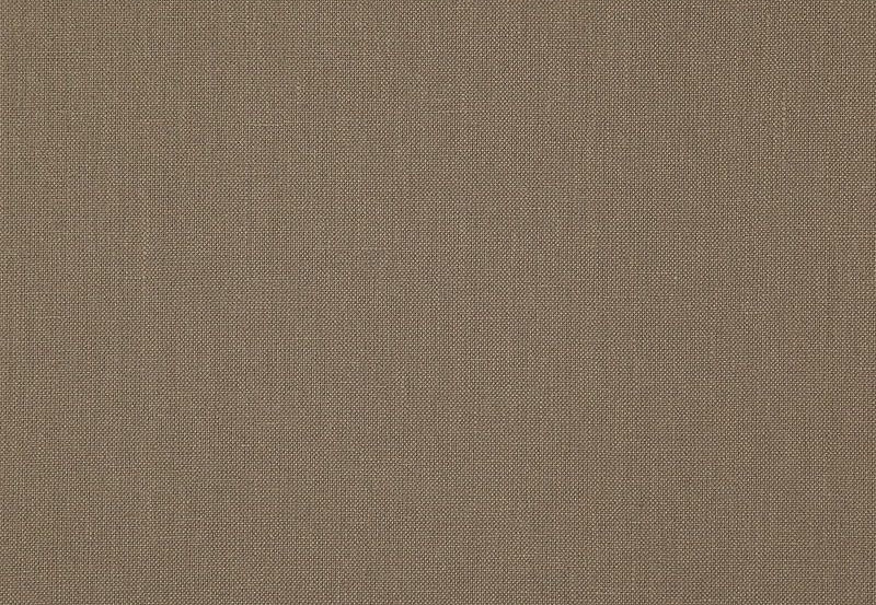 Ткань Daylight Canvas Canvas/Mushroom