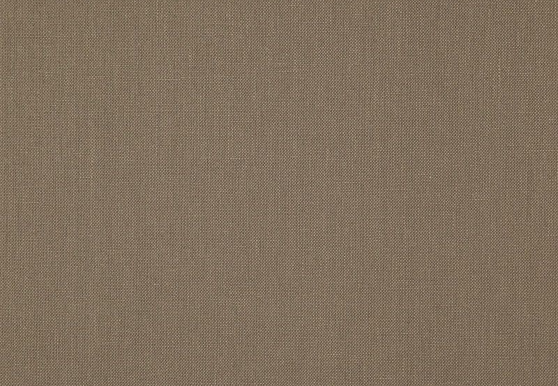 Ткань Daylight Canvas Canvas/Mushroom