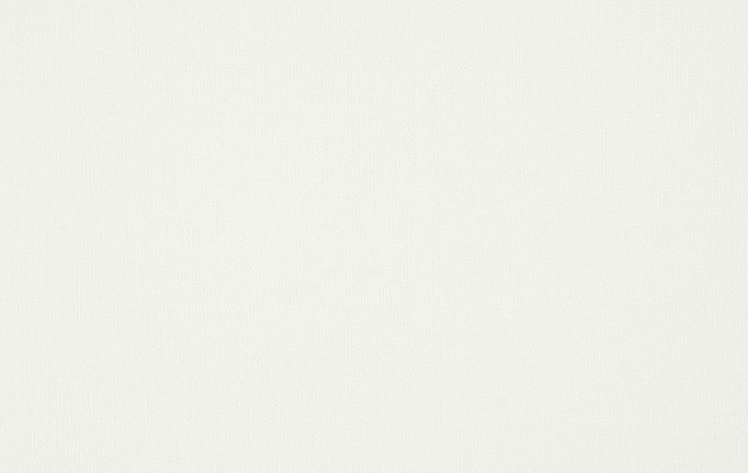 Бельгийская ткань Daylight, коллекция Canvas, артикул Canvas/Pearl