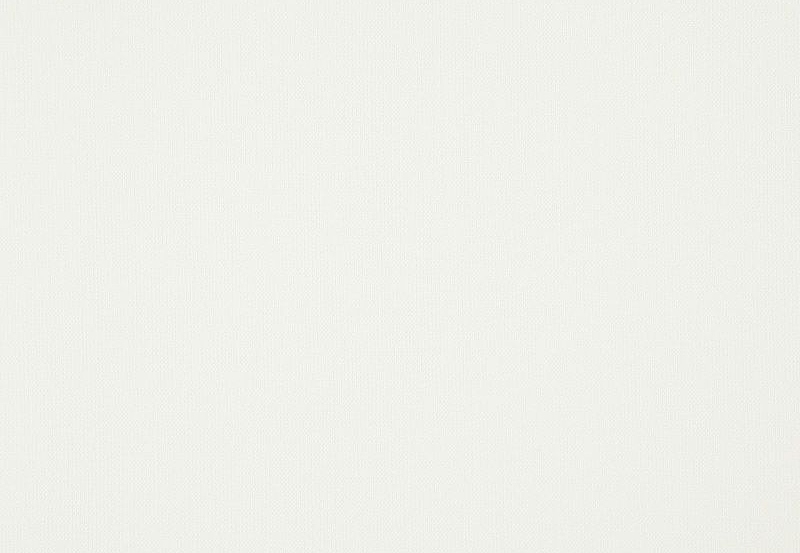Ткань Daylight Canvas Canvas/Pearl