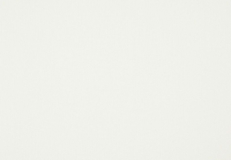Ткань Daylight Canvas Canvas/Pearl