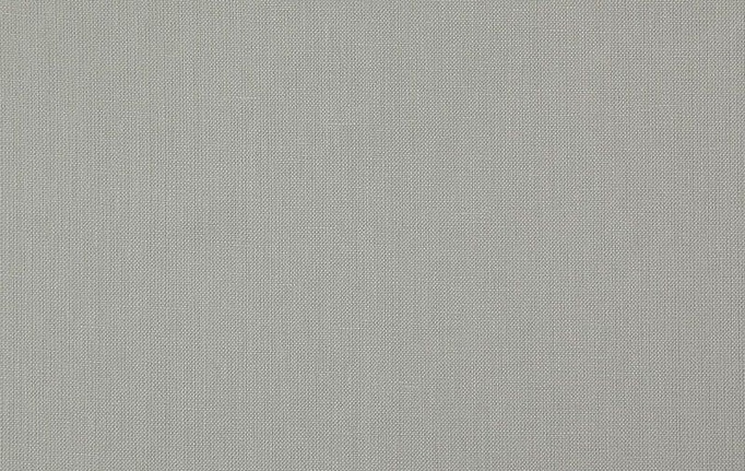 Бельгийская ткань Daylight, коллекция Canvas, артикул Canvas/Silver