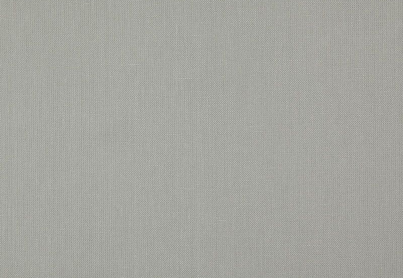 Ткань Daylight Canvas Canvas/Silver