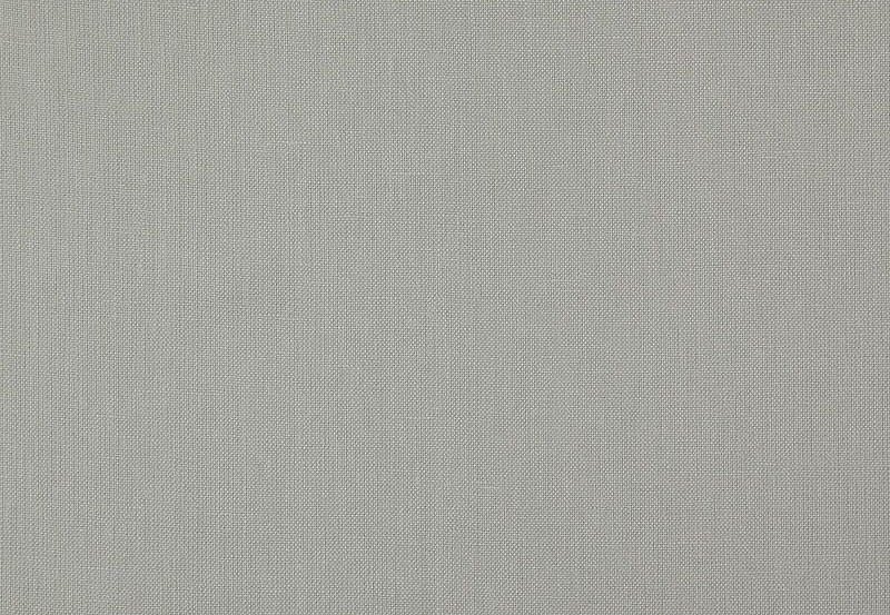 Ткань Daylight Canvas Canvas/Silver
