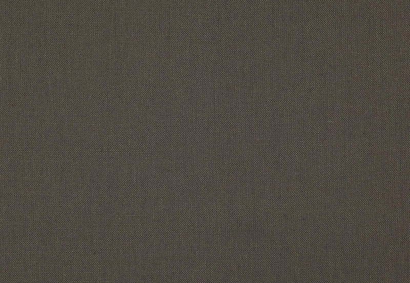 Ткань Daylight Canvas Canvas/Slate