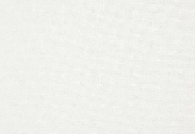 Ткань Daylight Canvas Canvas/Snow