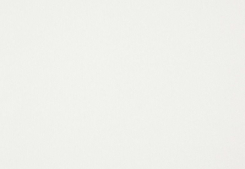 Ткань Daylight Canvas Canvas/Snow