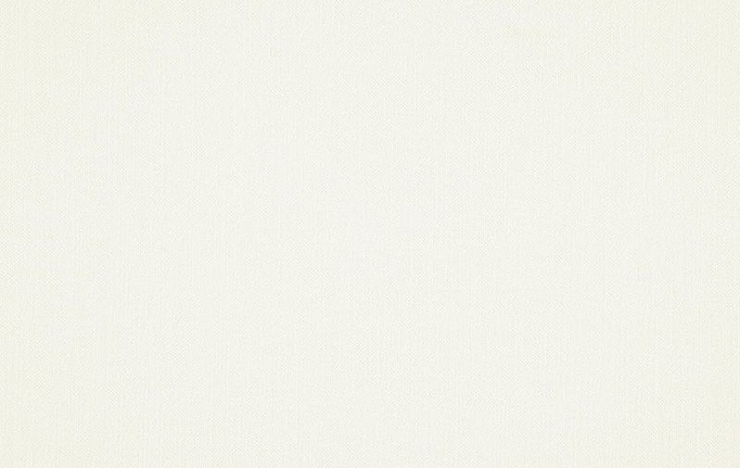 Бельгийская ткань Daylight, коллекция Grain, артикул Massive/Ivory