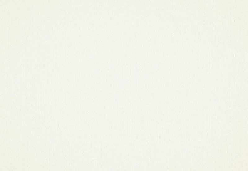 Ткань Daylight Grain Massive/Ivory