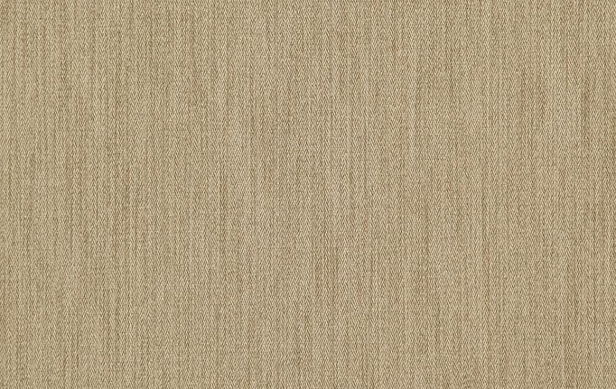 Бельгийская ткань Daylight, коллекция Darkness, артикул Sable/Raffia