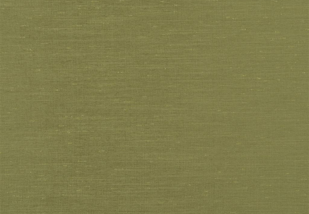 Ткань Designers Guild Chaviere FDG2942/12