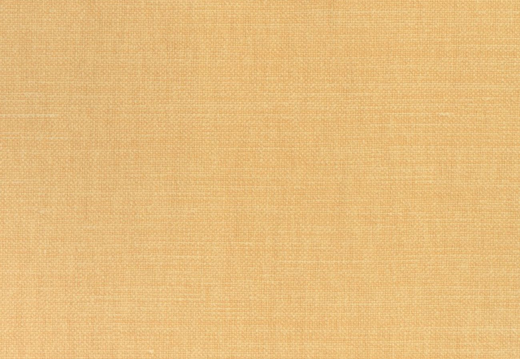 Ткань Thibaut Woven Resource 12 Prisma W70123