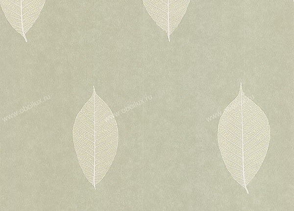 Обои Chelsea Designs Exquisite 58-54461