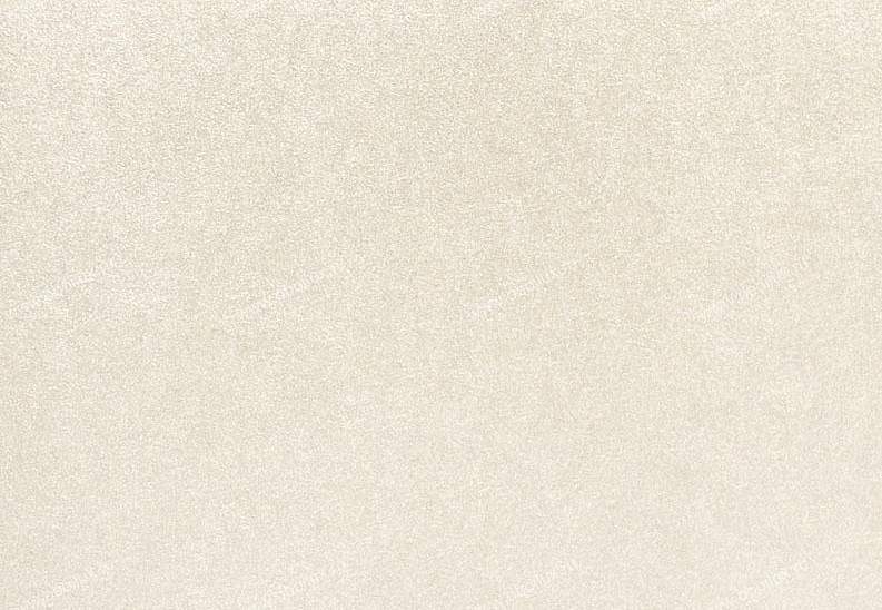 Обои Eijffinger Raval 341582