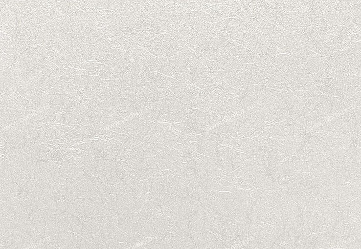Обои Eijffinger Raval 341579