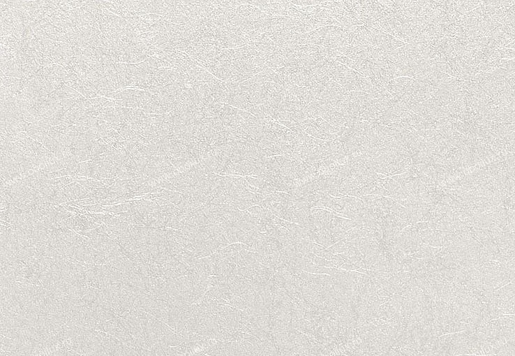 Обои Eijffinger Raval 341579