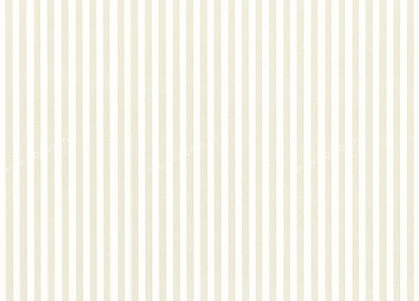 Обои Eijffinger Stripes Only 2012 320480