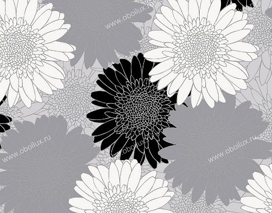 Обои A. S. Creation Funny Paper 674838