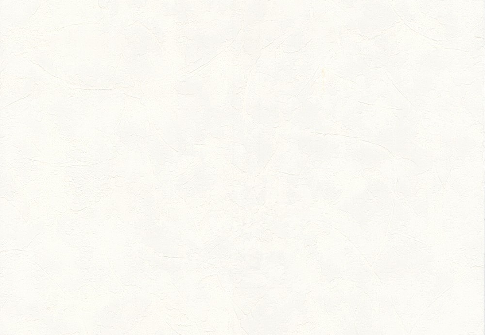 Обои A. S. Creation White & Colours 511546