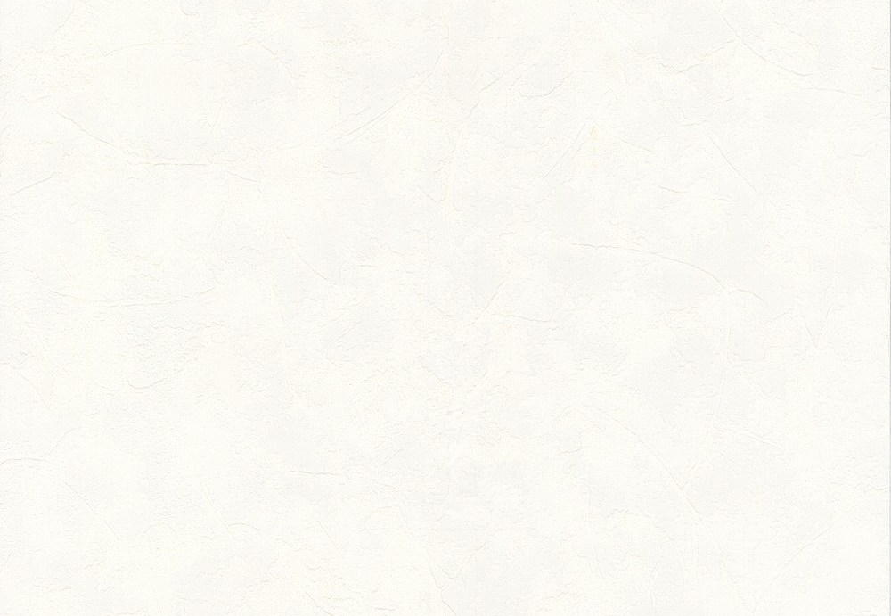 Обои A. S. Creation White & Colours 511546